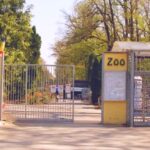 gradina zoo timisoara
